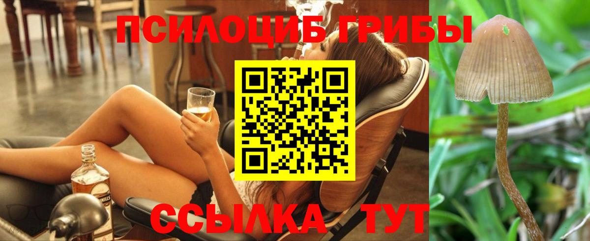 Псилоцибиновые грибы GOLDEN TEACHER Мелеуз